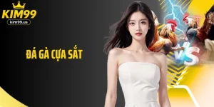 Đá Gà Cựa Sắt- Cơ Hội Săn Thưởng Hấp Dẫn