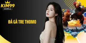 Đá Gà Tre Thomo- Trải Nghiệm Giải Trí Kịch Tính
