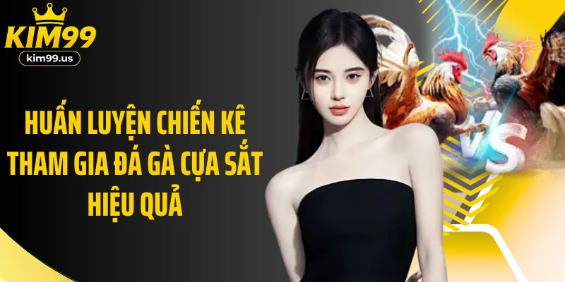 Huấn luyện chiến kê tham gia đá gà cựa sắt hiệu quả